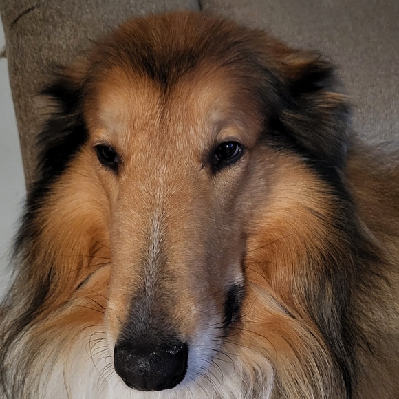 Meet the Posher Other - PLSreadBEFOREbuying!